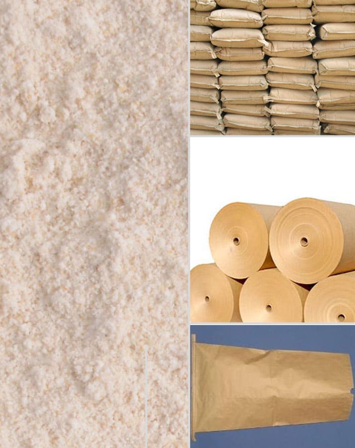 Stock Kraft Paper Bags